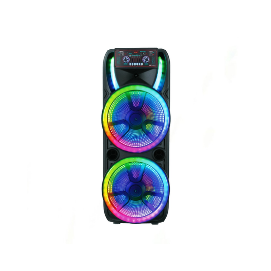 Audionic Mehfil MH-1055 1.0 Tower Speaker with Dual 15-Inch Woofers & Wireless Microphones