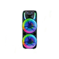 Audionic Mehfil MH-1055 1.0 Tower Speaker with Dual 15-Inch Woofers & Wireless Microphones
